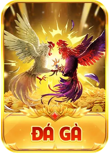 Đá gà 23win