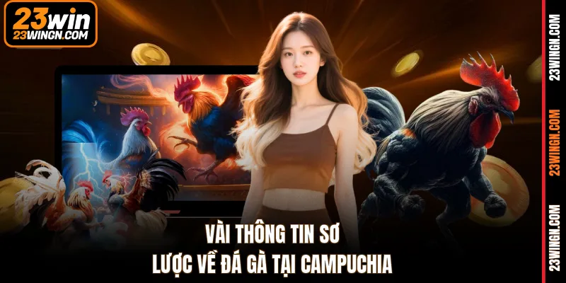 Vài thông tin sơ lược về đá gà tại Campuchia